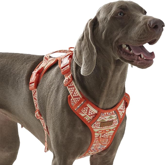 No Pull Dog Harness for Large Dogs with 2 Metal Clips, Easy On/Off with Neck Buckle, Heavy Duty Adjustable Puppy Vest, Breathable Pet Harness with Easy Control Handle, Orange Ethnic L