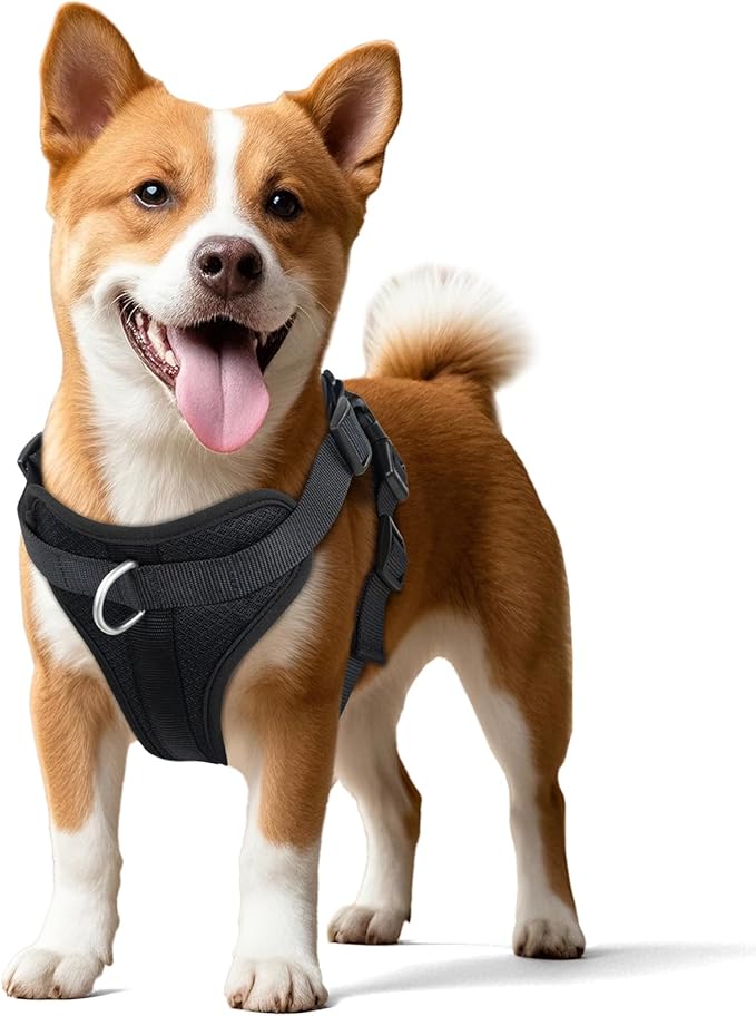 Wisedog Mesh Breathable Dog Harness: No Pull Harness with 3 Fast-Release Buckles Adjustable for Walking & Training for Small Medium Large Dogs (Black, M: Neck=17"-22"/Chest=15"-28")