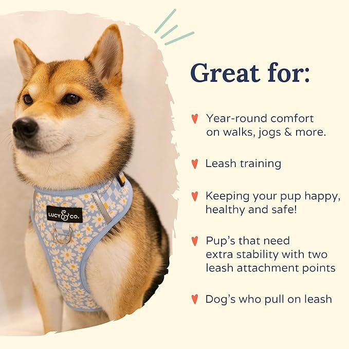 Lucy & Co. The Simply Splendid No-Pull Dog Harness - Size Small - Vest to Stop Pulling & Walk Easy - Comfortable Leash Training Product w/Adjustable Chest & Neck Straps