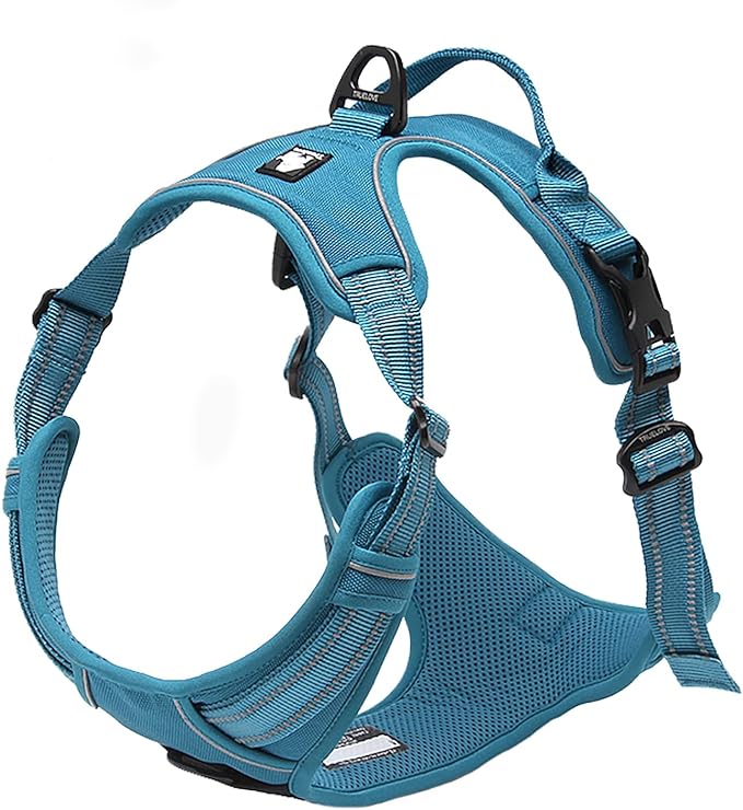 TRUE LOVE Truelove Adjustable No-Pull Dog Harness Reflective Pup Vest Harnesses Comfortable Control Brilliant Colors TLH5651(Blue,XL)
