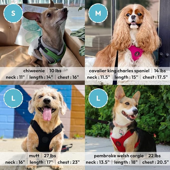 Gooby, Dog Harness, Sporty, Large, Red - Escape Free Sport Harness with Patented Neoprene Technology, 4-Point Adjustment, No Choke, Perfect for Small Dogs No Pull