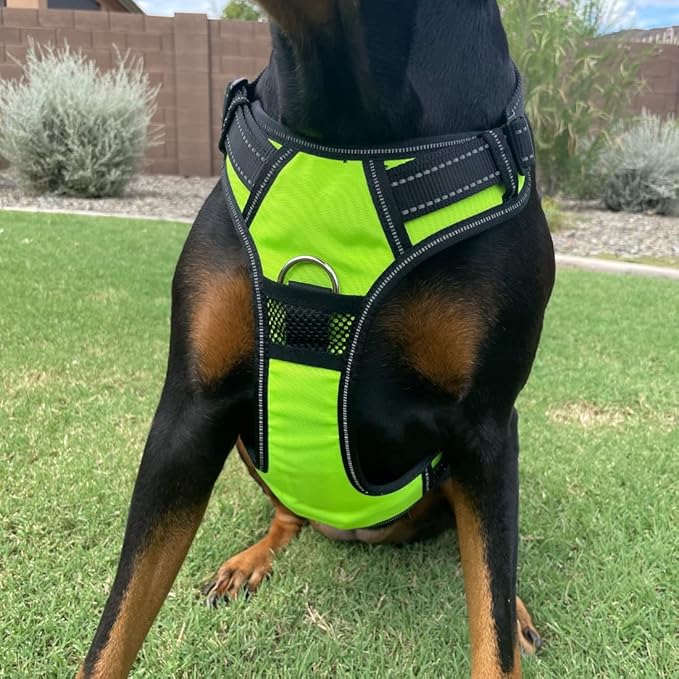 4Knines No Pull Dog Harness for XL Dogs – Adjustable Reflective Harness with Front & Back Leash Clips – Padded for Comfort – Durable, Easy Control for Walks & Training (Yellow)