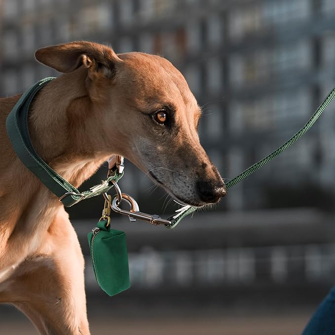 HIFA Genuine Leather Dog Leash Poop Bag Holder - Soft Touch Rustic Leather, Metal Clips, Easy Access to Pet Waste Bags - Dog Poop Dispenser for Outdoor Walking