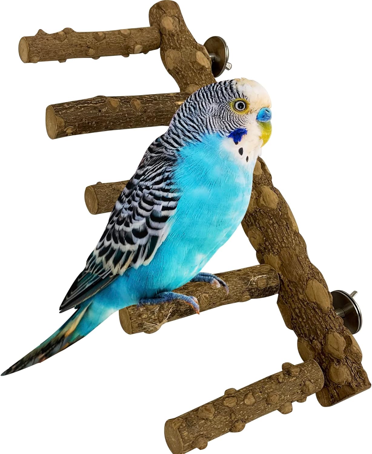 SIMENA Bird Ladder Perch, Natural Wood Parrot Stand, Hamster Climbing Toy, Bird Cage Ladder for Small and Medium Birds, Parakeet, Cockatiel, Conures, Lovebirds, Budgie
