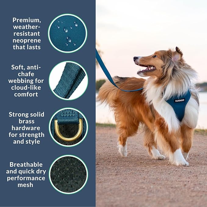 DJANGO Adventure Dog Harness - Stylish and Durable Small Dog Harness for Outdoor Adventures and Everyday Wear - Indigo Blue Neoprene Adjustable Harness for Dogs with Reflective Piping & Brass D-Ring