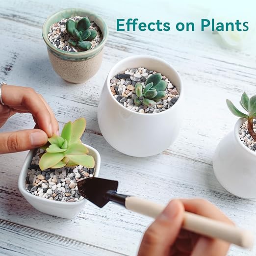 5 lbs Small Rocks for Succulents, 1/5 Inch Pebbles for Indoor Plants, Decorative Pea Gravel for Terrarium, Vases, Aquariums, Fish Tank, Drainage Rocks for Potted Plants, Bamboo,Crafts, Cactus