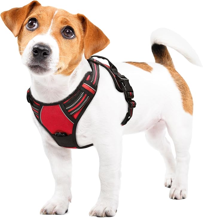 Funfox Dog Harness No Pull, Adjustable Pet Vest Harness Red S with Handle, 2 Leash Clips for Daily Walking Easy Control, Soft Durable Reflective Comfortable for Small Sized Dogs