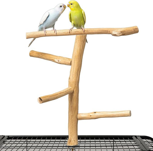Natural Wood Bird Perch & Play Stand for Parakeets/Cockatiels - Multi-Level Cage Accessory with Training Branch