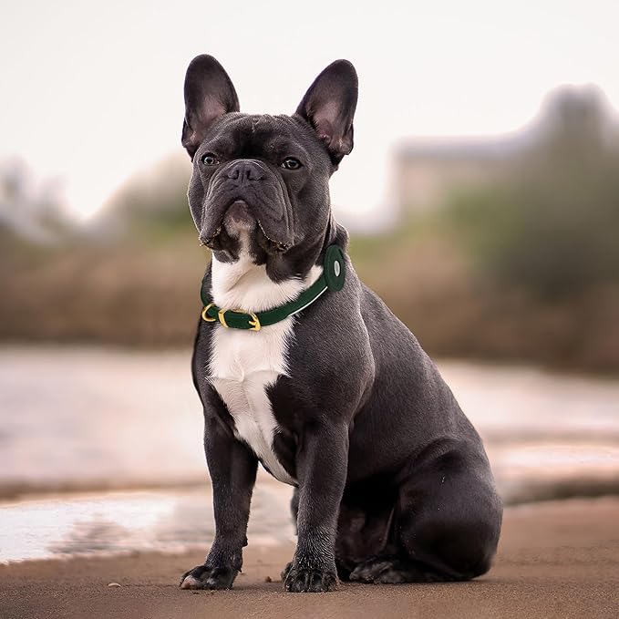 OOPSDOGGY Rolled Leather Dog Collar with Airtag Holder - Reflective Round Airtag Dog Collar - Soft Tracking Pet Collar for Small Dogs Puppy Cats Kitten (Green, L, 14"-18")