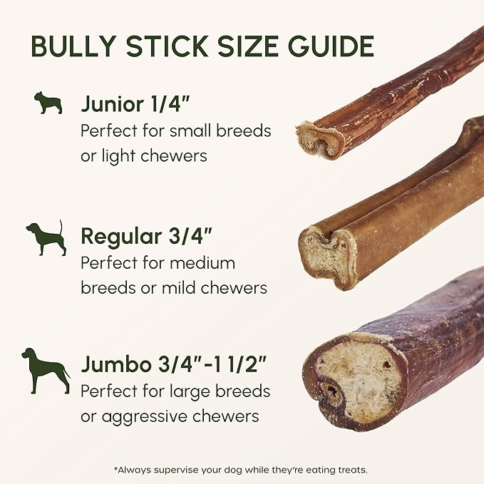 Downtown Pet Supply Bully Sticks for Dogs - Natural 6 Inch Beef Chews, Odor-Free & Rawhide-Free, Long Lasting Dog Treats for Aggressive Chewers - Healthy, Safe & Delicious Chews Dogs Love (30 Pack)