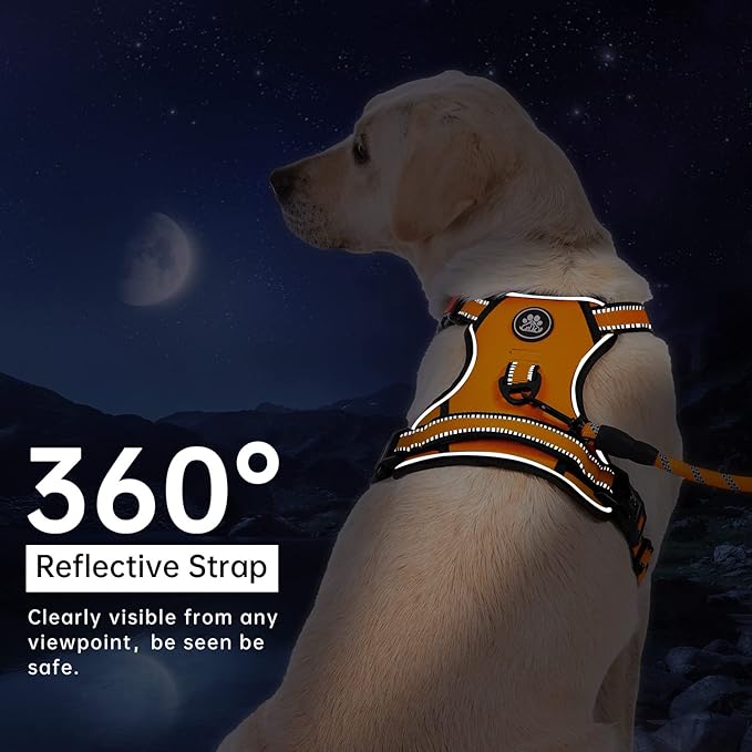 IVY&LANE No Pull Dog Harness for Large Dogs, Dog Vest Harness with Leash, Safety Belt and Storage Strap, Fully Adjustable Harness, 360° Reflective Strip, Soft Handle (Orange,X-Large)