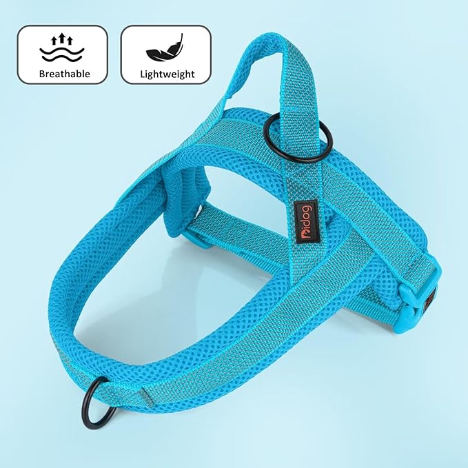 Didog No Pull Dog Harness with Breathable Mesh Padded, Full Reflective & Quick Fit Adjustable Vest Harness, Easy for Training Walking for Small & Medium and Large Dogs (Blue, S:Chest 18-22")