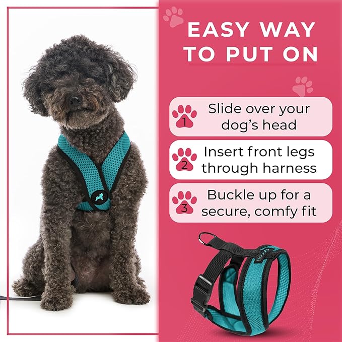 Gooby Comfort X Head in Harness - Turquoise, Large - No Pull Small Dog Harness, Patented Choke-Free X Frame - On The Go Dog Harness for Medium Dogs No Pull or Small Dogs for Indoor and Outdoor Use