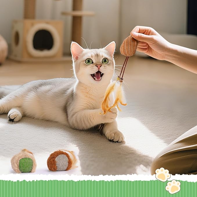 4 in 1 Relief Anxiety Catnip Cat Toys - 6 Styles Natural Silvervine Chew Toys for Teeth Cleaning, Reduce Obesity Risk, Cat Toy for Bored Indoor Adult Cats