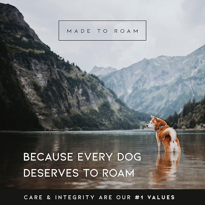 MADE TO ROAM Premium Explorer Harness - Y-Shaped Dog Harness with Adjustable Durable Nylon, Soft Padding, Metal Buckles and Leather Handle for Small, Medium, Large Dogs (Alaska Daybreak, Size 4)