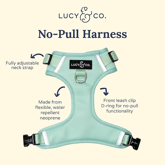 Lucy & Co. The Spring Green No-Pull Dog Harness - Size X-Small - Vest to Stop Pulling & Walk Easy - Comfortable Leash Training Product w/Adjustable Chest & Neck Straps