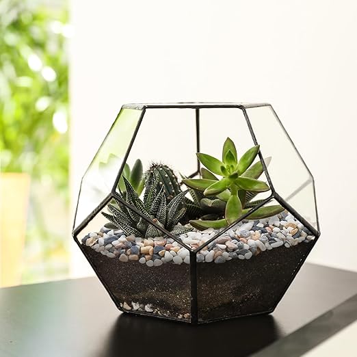 5 lbs Small Rocks for Plants, 1/5 Inch Pebbles for Indoor Plants, Natural Decorative Pea Gravel for Aquarium, Fish Tank, Terrarium, Succulents, Bamboo Plants, Vases, Cactus, Crafts