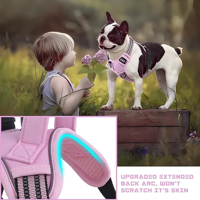 BUMBIN Dog Harness for Large Dogs, No Pull Adjustable No Choke Pet Vest with Dog Leash Fit Smart Reflective Pet Walking Harness for Training Easy Control Soft Handle Pink S