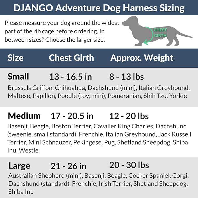 DJANGO Adventure Dog Harness - Stylish, and Durable Medium Dog Harness for Outdoor Adventures and Everyday Wear - Plum Purple Neoprene Adjustable Harness for Dogs with Reflective Piping, Brass D-Ring