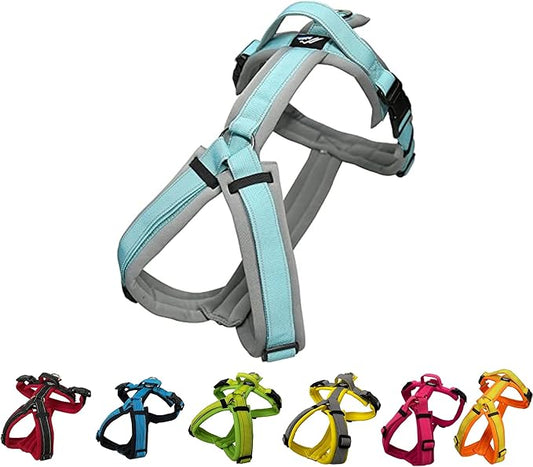 [白山:Hakusan] Zero Dog Harness Made by Japan, Safe - No chocking/Hard to Disconnect, Great fit - Easy Put on and Off/Adjustable, Reflector, Tiny - Small & Medium Dog, Two-Tone Gray × Mint