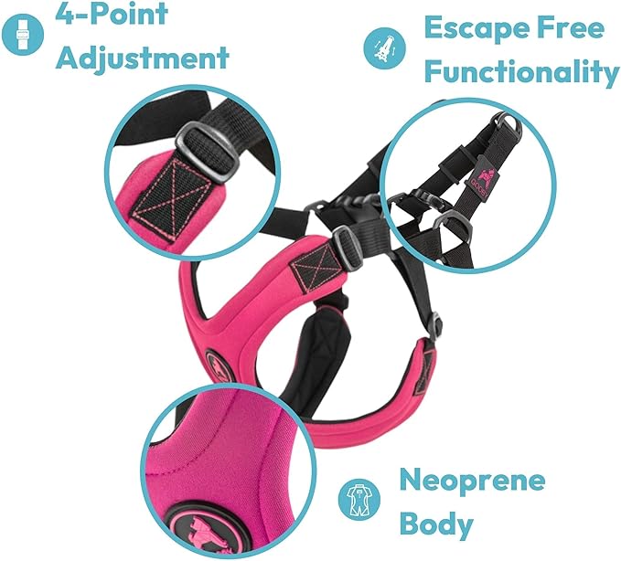 Gooby Escape Free Sport Harness - Turquoise, Large - No Choke Step-in Patented Neoprene Small Dog Harness, Four-Point Adjustment - Perfect on The Go Dog Harness for Medium Dogs No Pull and Small Dogs