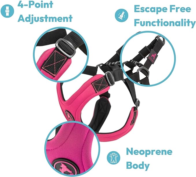Gooby Escape Free Sport Harness - Turquoise, Medium - No Choke Step-In Patented Neoprene Small Dog Harness, Four-Point Adjustment - Perfect on the Go Dog Harness for Medium Dogs No Pull and Small Dogs