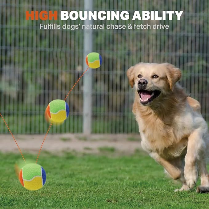 AMA SPORT Squeaky Balls for Dogs 2.5" Small Medium Dog Tennis Balls for Throwing and Fetching Dog Toys for Training, Exercise, High Bouncing 12 Pack Multicolor