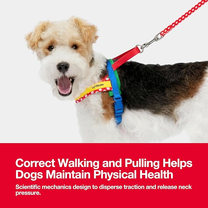 VETRESKA MoMA Dog Harness and Leash Set, Easy Walk Dog Harness for Small Medium Dogs, No Pull Puppy Harness for Walking and Training, Adjustable, Take Control & Anti-Twist Pet Lead Combo(Red, XS)