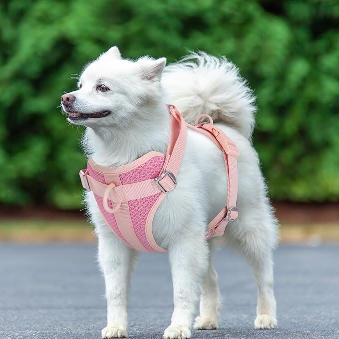 Wisedog Mesh Breathable Dog Harness: No Pull Harness with 3 Fast-Release Buckles Adjustable for Walking & Training for Small Medium Large Dogs (Pink, L: Neck=20"-25"/Chest=17"-33")