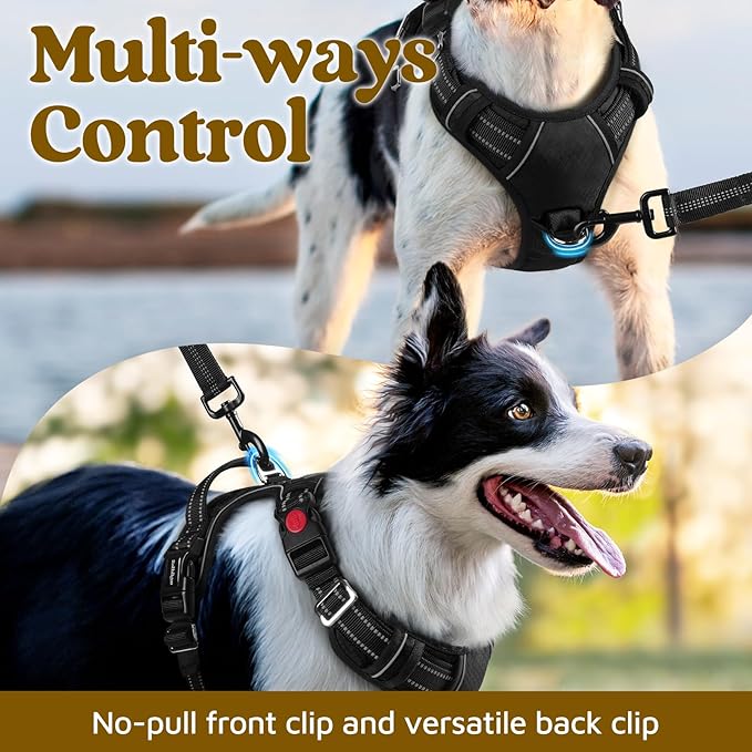 rabbitgoo Dog Harness Small Sized, No Pull Dog Vest with 3 Buckles, Adjustable Soft Padded Pet Harness with Easy Control Handle and Reflective Strips, Black, S