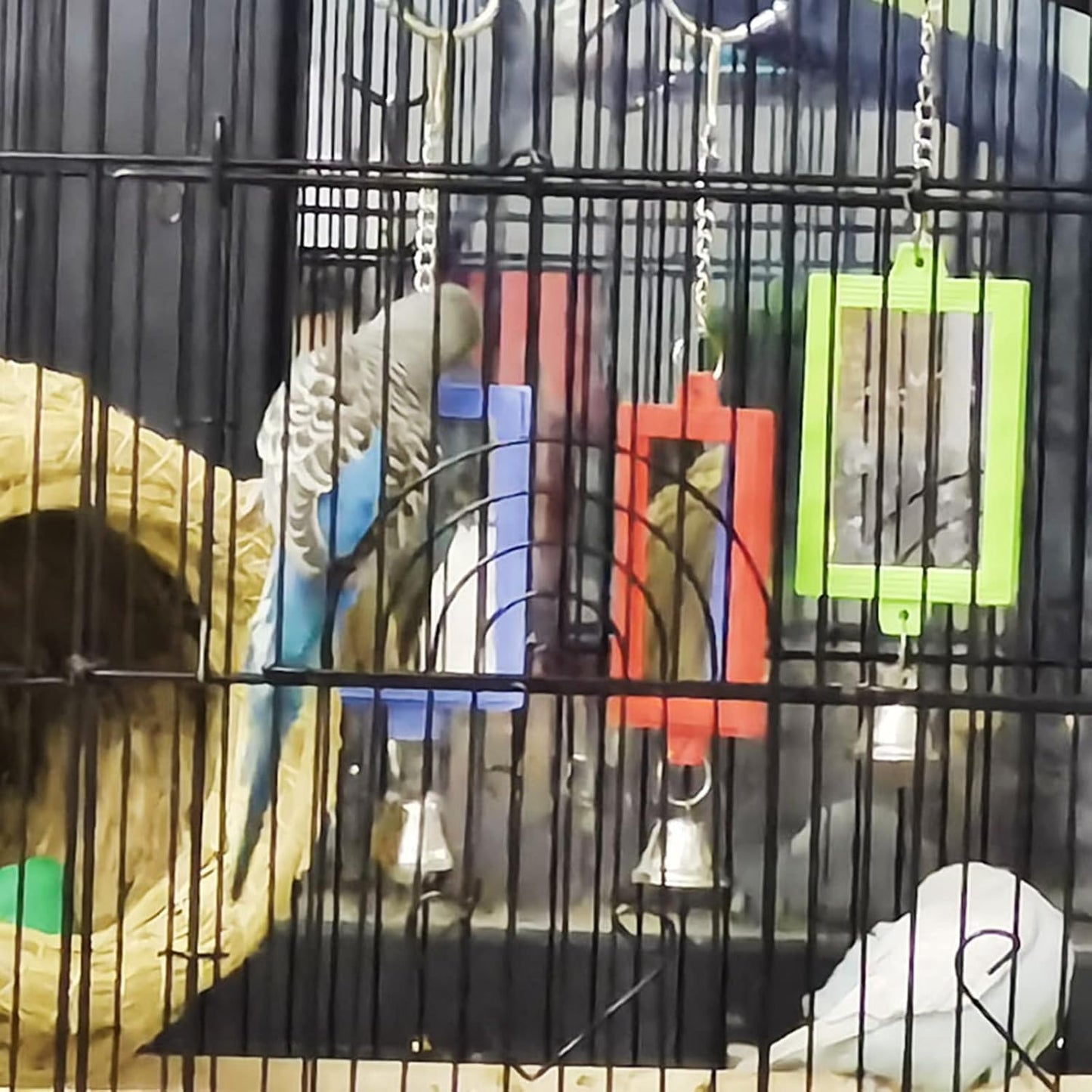 1Pc Random Color Pet Bird Mirror with Bell Interactive Parrot Toys for Budgies Parakeets Conures, Pet Supplies