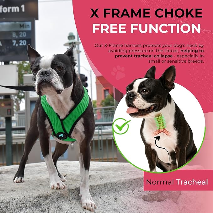 Gooby Comfort X Head In Harness - Hunter Green, X-Large - No Pull Small Dog Harness Patented Choke-Free X Frame - On the Go Dog Harness for Medium Dogs No Pull or Small Dogs for Indoor and Outdoor Use