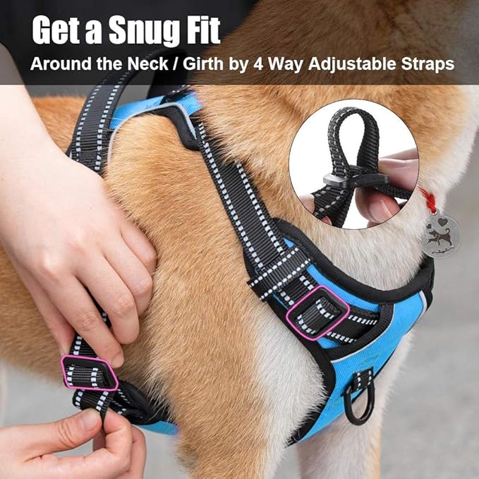 PoyPet No Pull Dog Harness, Reflective Comfortable Vest Harness with Front & Back 2 Leash Attachments and Easy Control Handle Adjustable Soft Padded Pet Vest for Small to Large Dogs (Blue,XS)
