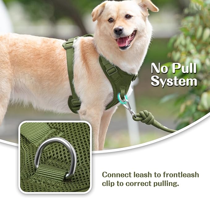 No Pull Dog Harness for Small Medium Large Dogs - Adjustable Two-Layer Mesh Dog Vest with Dual Clip, Escape Proof, Quick Release, Lightweight Breathable Mesh for Walking Hiking (Misty Green,L)