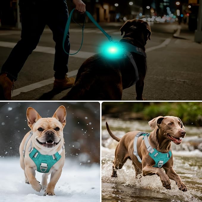 Joytale Lightweight Light Up Dog Harness, Rechargeable No-Pull LED Dog Harness with Detachable Light Box, Airtag Holder, Adjustable for Night Walking, Running & Everyday Use, Light Blue, S