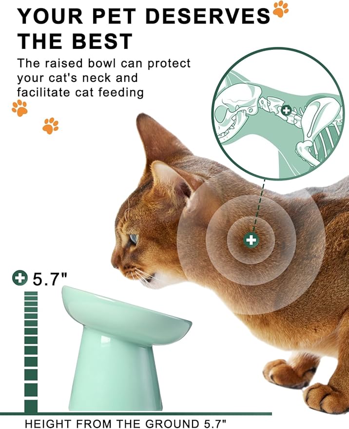 Y YHY 6 Inches Cat Slow Feeder Bowl, Elevated Dog Feeder, Ceramic Anti-Vomiting Bowl for Dry and Wet Food, Green