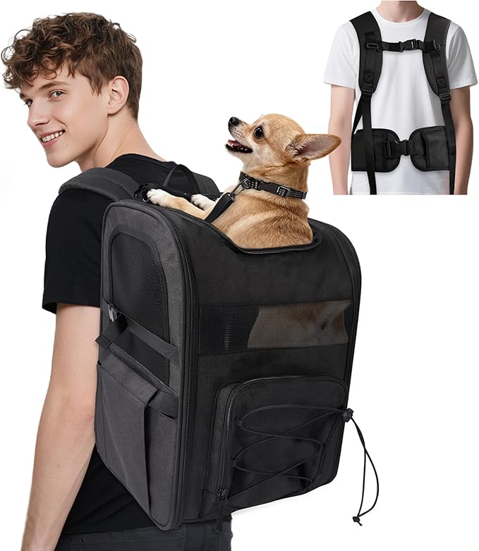 Dog Backpack, Breathable and Comfortable - with Chest Strap, Waist Strap, Safety Buckle and Elevated Interactive Pad, Ideal Pet Carrier Bag for Traveling, Hiking and Daily Walks, Black