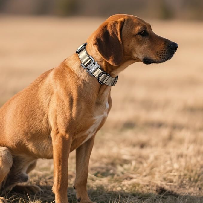 Airtag Dog Collar - Leather Dog Collar with Airtag Holder| IP68 Waterproof AirTag Holder with Metal Buckle, Comfortable GPS Dog Collars Tracker for Medium Large Dogs (Champagne Gold, L)