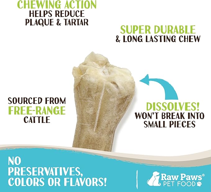 Raw Paws Compressed Rawhide Bones for Dogs, 8-inch, 5-Count - Packed in USA - Long Lasting Dog Chews - Natural Pressed Rawhides - Rawhide for Large Dogs - Bones for Aggressive Chewers