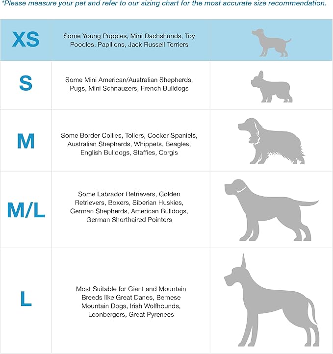 Blue-9 Buckle-Neck Balance Harness, Fully Customizable Fit No-Pull Harness, Ideal for Dog Training and Obedience, Made in The USA, Hunter Green, Extra Small