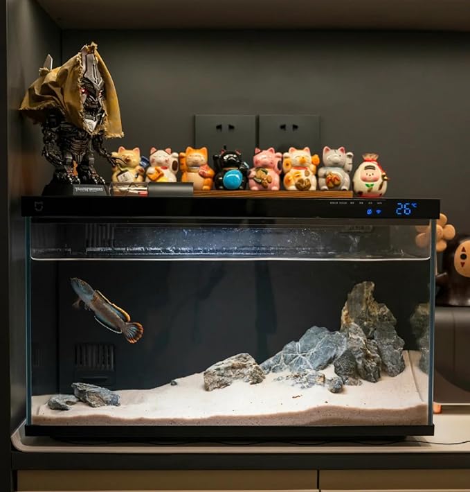 Natural Seiryu Dragon Stone - 20 Pound Aquarium Landscape Rock for Fish Tank Reptile and Amphibious Tank 3-10 Inch Aquarium Decoration