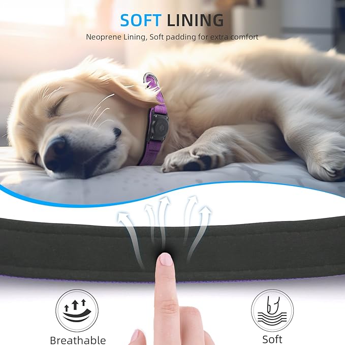 Reflective Air Tag Dog Collar - 100% Waterproof Dog Collar AirTag Holder | Extra-Durable, Soft Padded AirTag Dog Collars for Small Medium Large Dogs