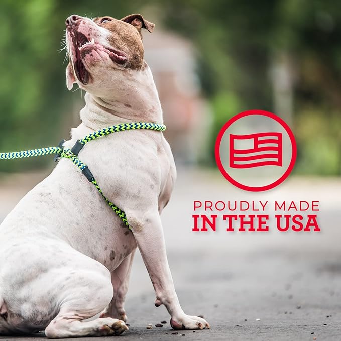 Harness Lead No Pull Dog Harness and Leash Set, Anti Pull Dog Harness, One-Piece Cushioned Rope Safely Prevents Escaping and Pulling *New Insert is Removable (Small/Medium, Peacock/Blue/Lime)