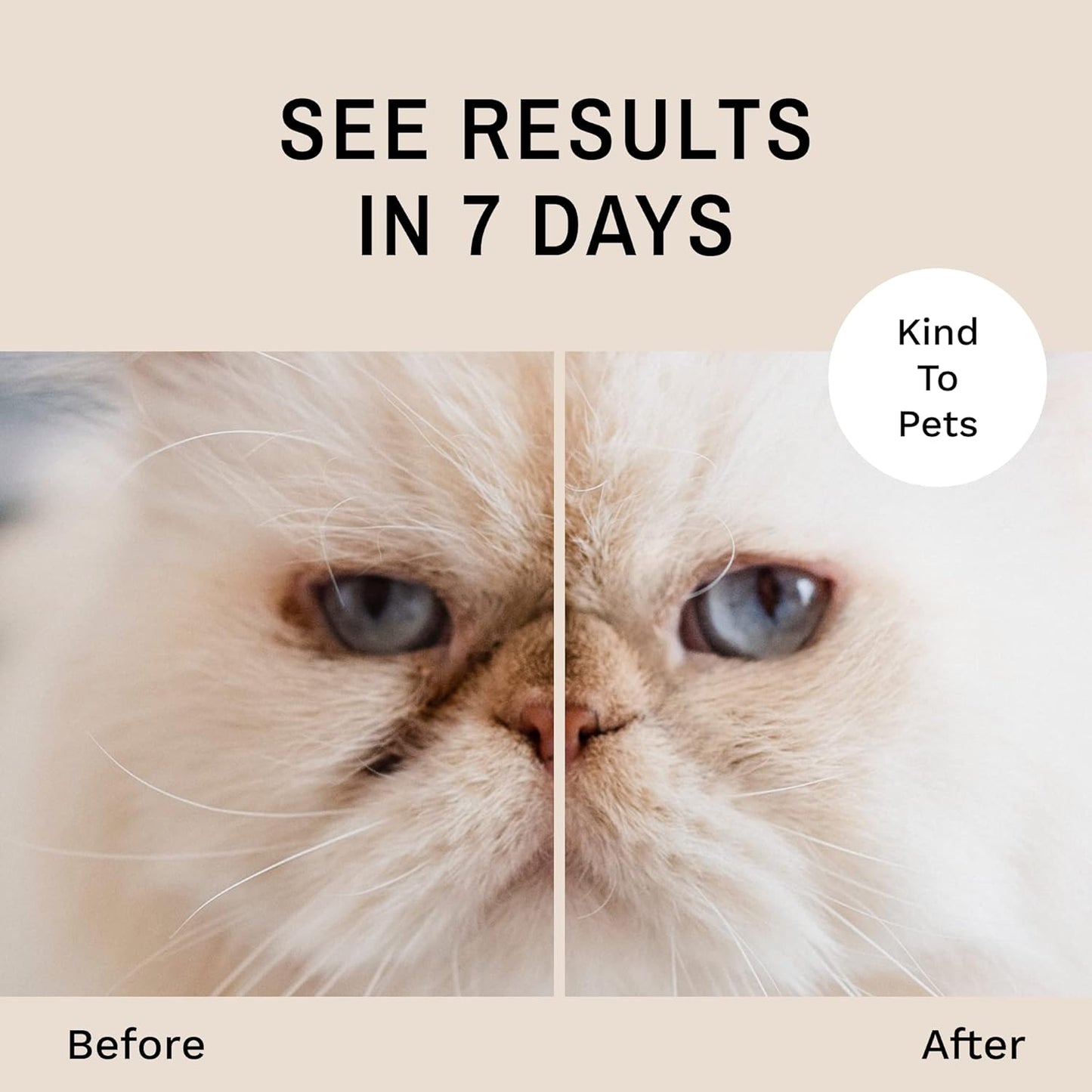 Eye Envy Tear Stain Remover Powder for Dogs and Cats. 100% Natural, Safe. Apply Around Eyes. Absorbs and Repels Tears. Keeps Area Dry. Treats The Cause of Staining. Made in The USA (1.4 oz)