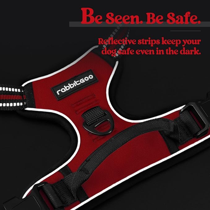 rabbitgoo Dog Harness No Pull with 2 Leash Clips, Adjustable Soft Padded, Reflective Oxford No Choke Pet Vest with Easy Control Handle for Medium Sized Dogs, Red, M