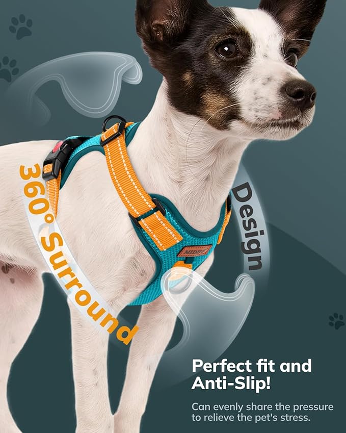 MIDOG No-Pull Dog Harness | Adjustable & Reflective Pet Harness Leash Set for Small Medium Large Dogs Walking, Training| No Choke, Front Clip, Soft Padded Vest with Easy Control Handle - Blue, XL