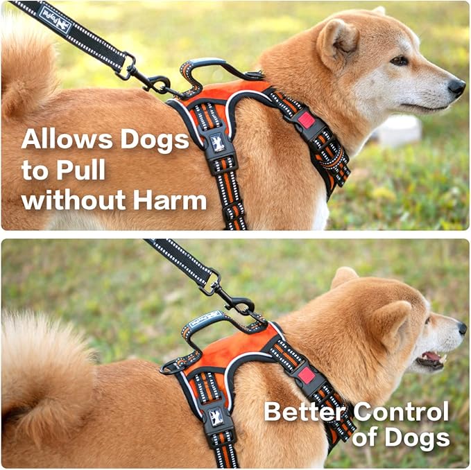 PoyPet No Pull Dog Harness, No Choke Front Clip Reflective Dog Vest with Soft Padded Vertical Handle, 3 Leash Attachments for Small Medium Large Dogs (Orange,XL)