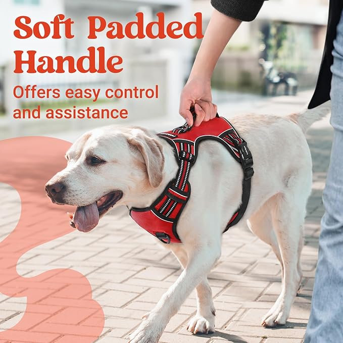 rabbitgoo Dog Harness Small Sized Dog, No Pull Pet Harness with Soft Padded Handle, Adjustable Reflective Vest with 3 Buckles, Easy Walking Harness with 2 Leash Clips, Red, S