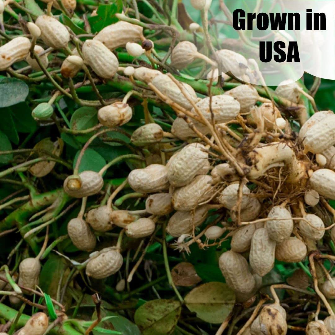 Old Potters Wildlife in-Shell Peanuts for Birds, Squirrels and Wildlife. USA Grown Non-GMO Raw in-Shell Peanuts (in-Shell, 8 lbs)