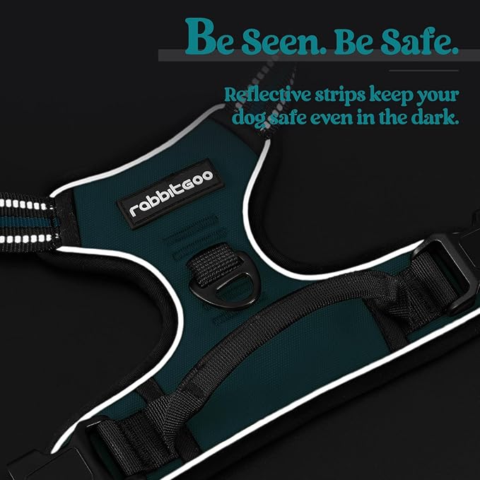 rabbitgoo Dog Harness No Pull with 2 Leash Clips, Adjustable Soft Padded, Reflective Oxford No Choke Pet Vest with Easy Control Handle for Medium Sized Dogs, Blue Coral, M